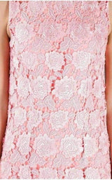 Coral Lace Overlay Dress Christopher Kane