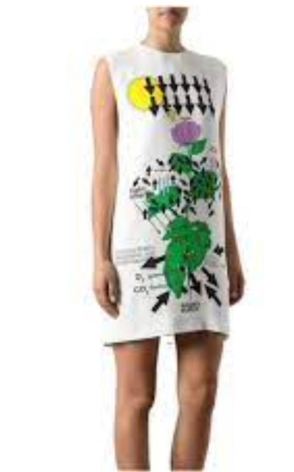 White Silk Botanical Diagram Dress Christopher Kane