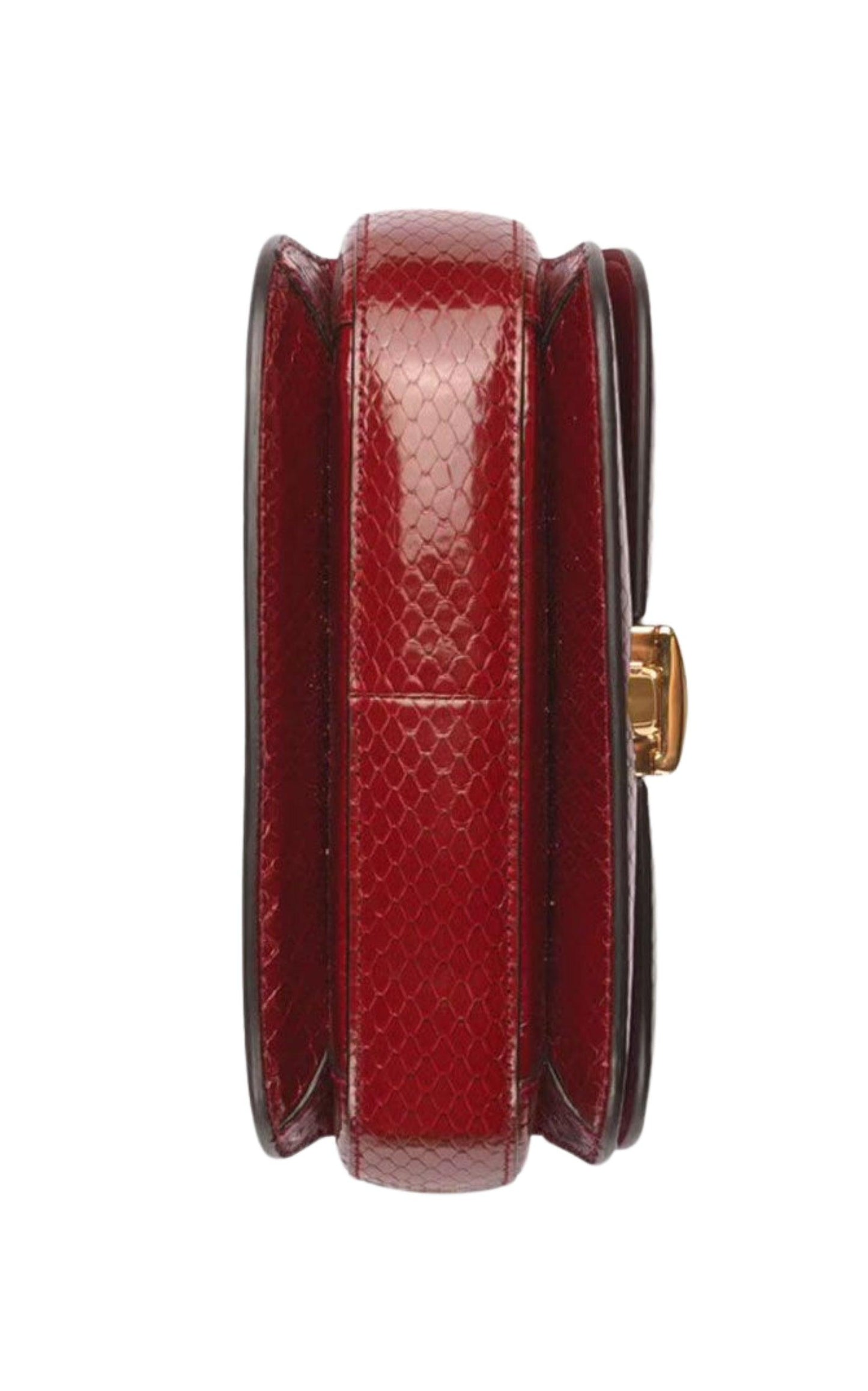 Gucci Sylvie 1969 Python Mini Shoulder Bag - Runway Catalog